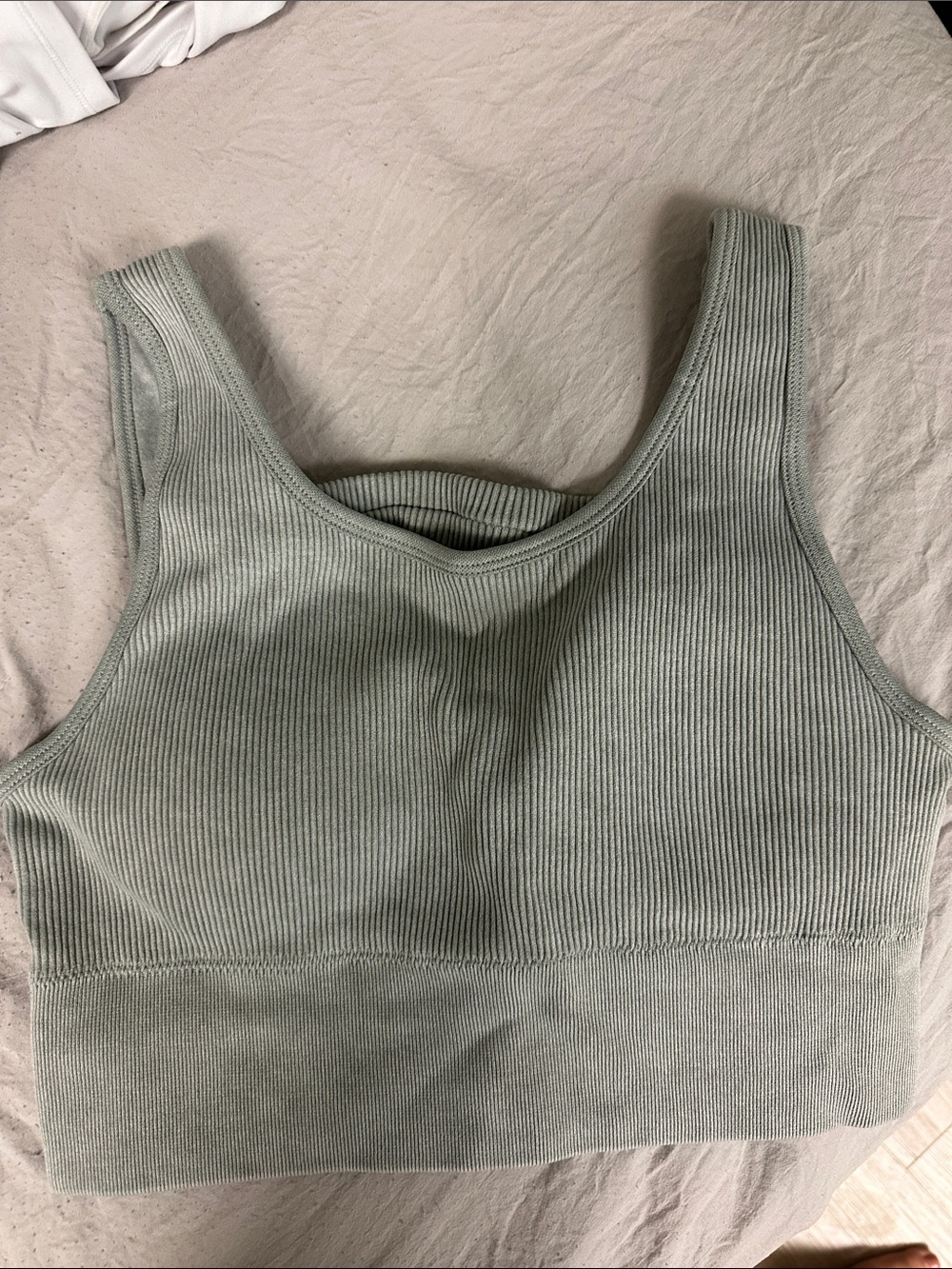 Ribbed Scoop Neck Seamless Bralette in Sage Green